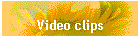 Video clips